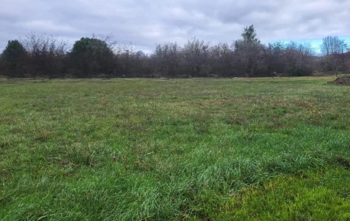 Terrain L'ISLE-EN-DODON 1 138 m2 28 000 € Terrain L'ISLE-EN-DODON 1 138 m2 28 000 €