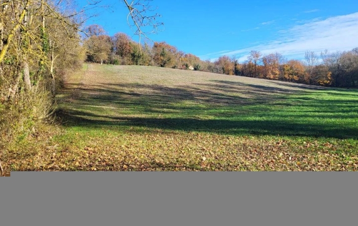  IMMOBILIER AREA Ground | MAUVEZIN (32120) | 2 200 m2 | 28 000 € 