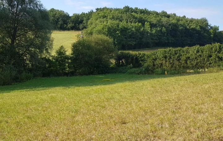  IMMOBILIER AREA Terrain | PESSAN (32550) | 2 393 m2 | 43 000 € 