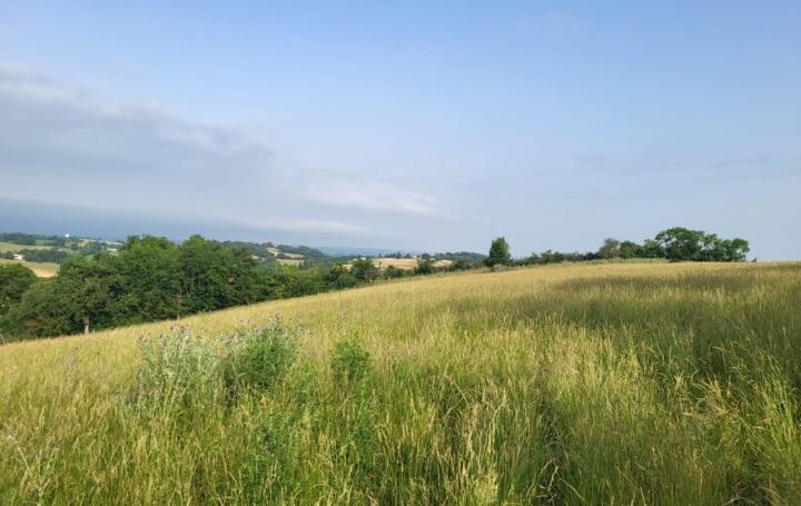 IMMOBILIER AREA Terrain | SAMATAN (32130) | 70 293 m2 | 77 400 € 