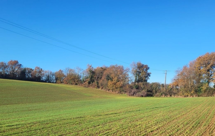  IMMOBILIER AREA Terrain | SAINT-SAUVY (32270) | 0 m2 | 61 400 € 