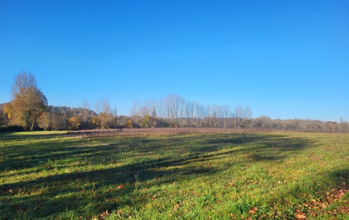  IMMOBILIER AREA Terrain | MAUVEZIN (32120) | 0 m2 | 31 000 € 