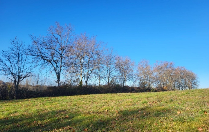  IMMOBILIER AREA Terrain | MAUVEZIN (32120) | 0 m2 | 28 000 € 