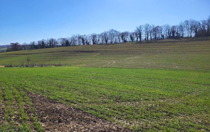  IMMOBILIER AREA Terrain | SAINT-SAUVY (32270) | 0 m2 | 33 000 € 
