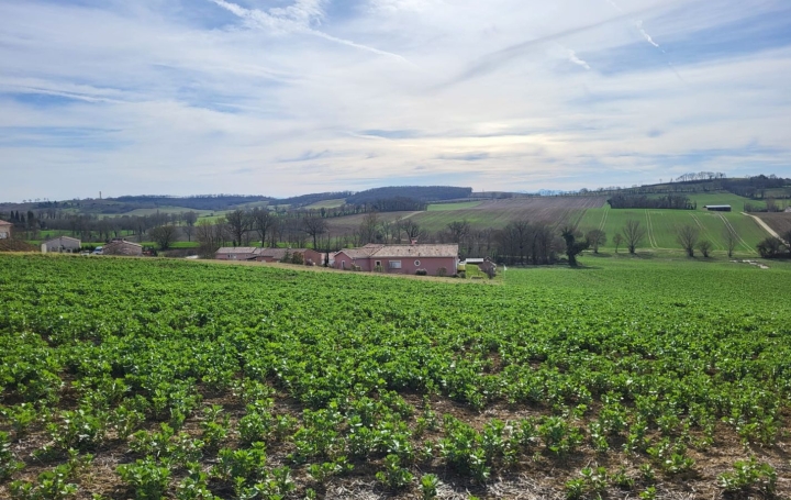  IMMOBILIER AREA Terrain | PUYCASQUIER (32120) | 0 m2 | 30 000 € 