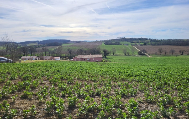  IMMOBILIER AREA Terrain | PUYCASQUIER (32120) | 0 m2 | 30 000 € 